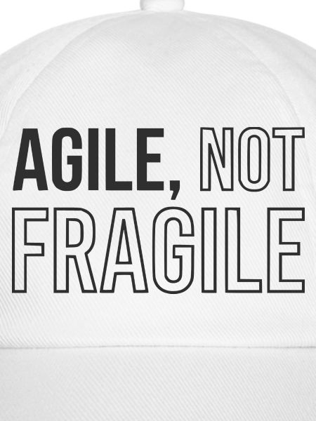 Agile Development, Scrum Agile Coach Tasse