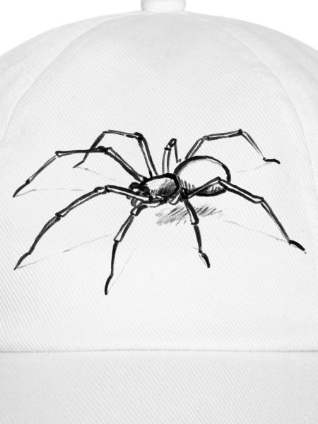 Helle Spinne Illustration Tier - lllustration