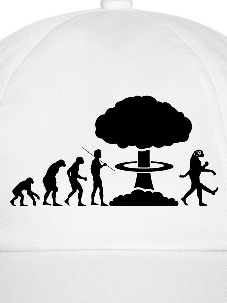 Nukleare Evolution