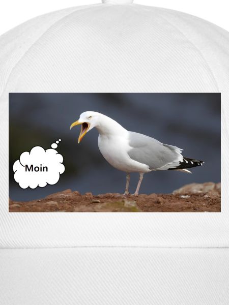 Moin Möwe