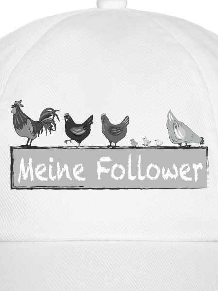 Meine Follower - Hühner Hahn