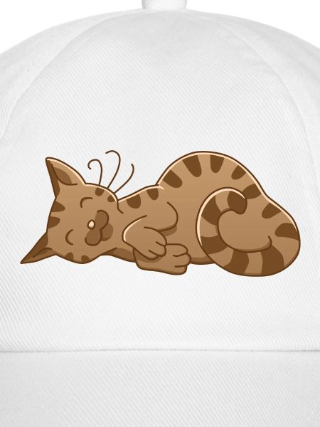 sleeping cat