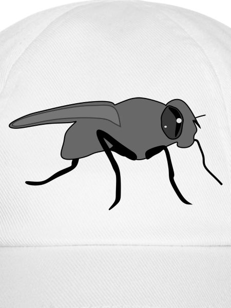 Fliege