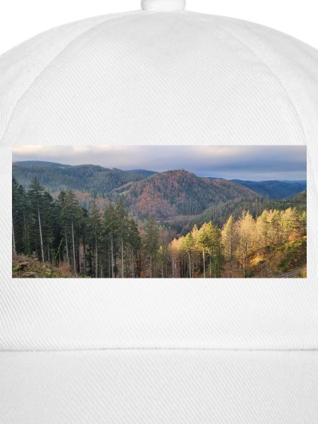 Herbstliche Waldlandschaft mit Sonnenlicht