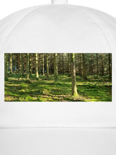 Lichter Waldlandschaft Druckdesign
