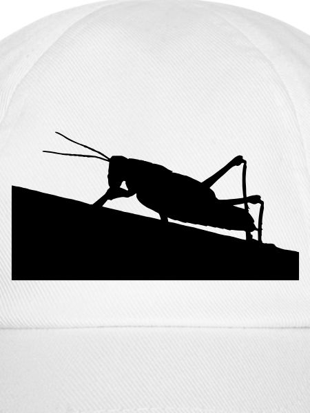 Heuschrecke