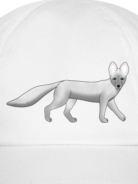 Polarfuchs schaut