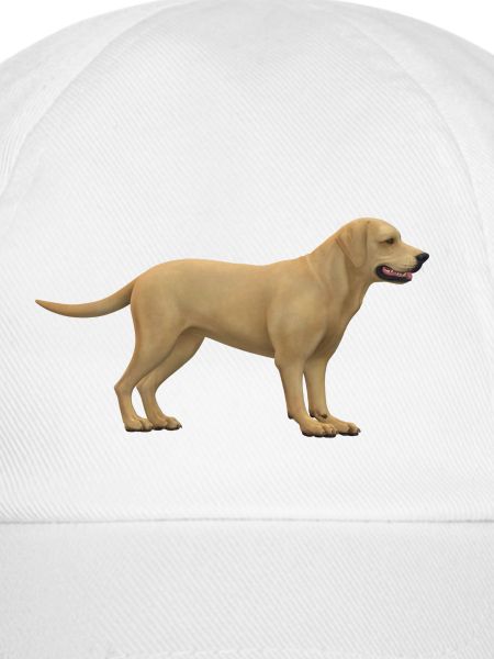 Hunde Design