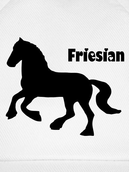 Friesian Horse / Friese
