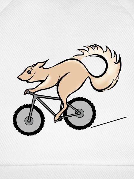 Fahrrad und Eichhörnchen