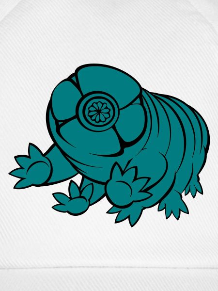Bärtierchen Tardigrade