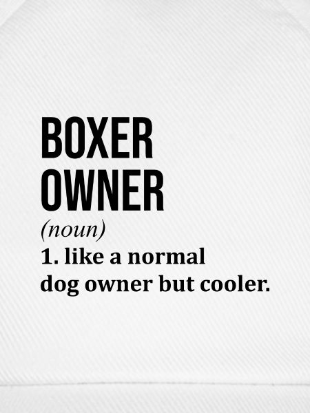 Boxer Boxer Boxer