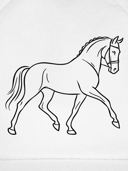 Dressurpferd