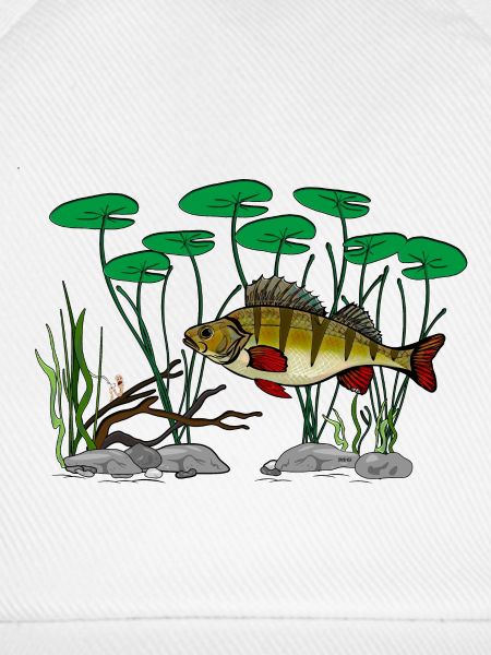 Barschfischen