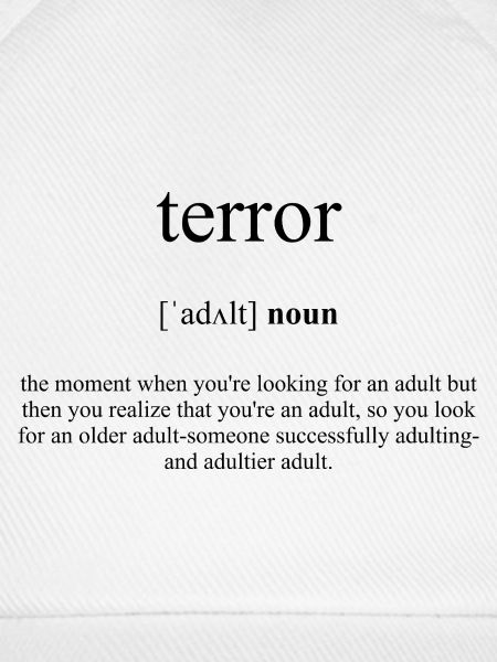 Terror Definition Dictionary