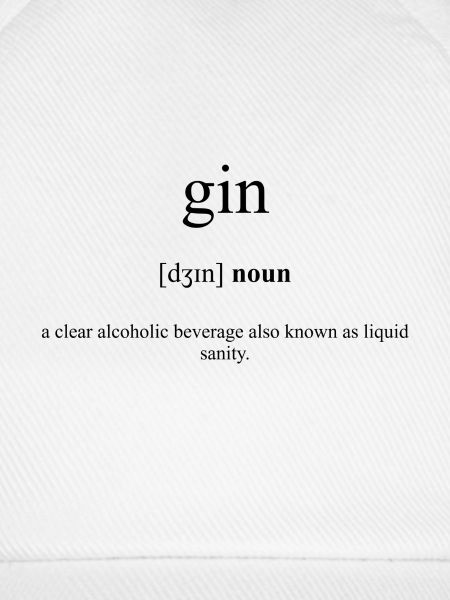 Gin Definition Dictionary