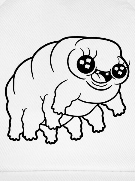 Kleines Wasserbaer Baertierchen