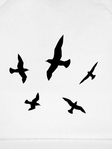 Silhouette mit Seemöwen