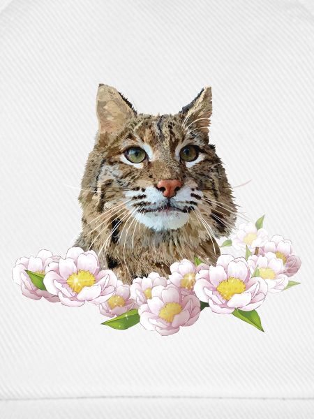 Luchs