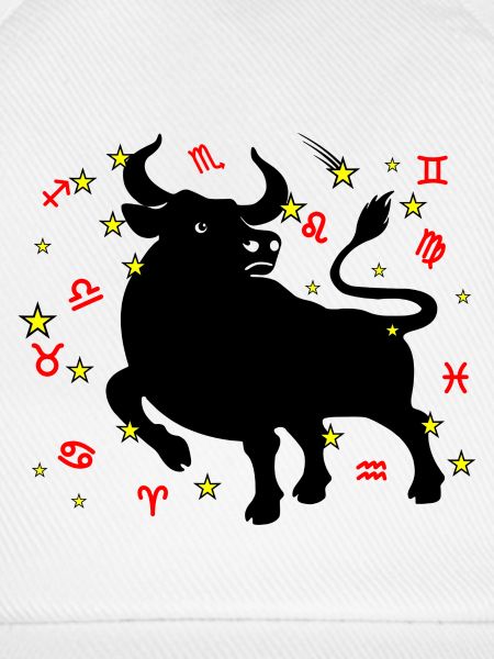 Sternzeichen Stern Logo Stier