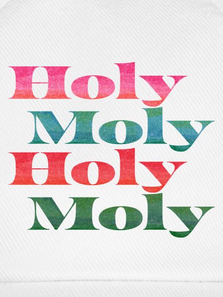 Holy Moly Schriftzug
