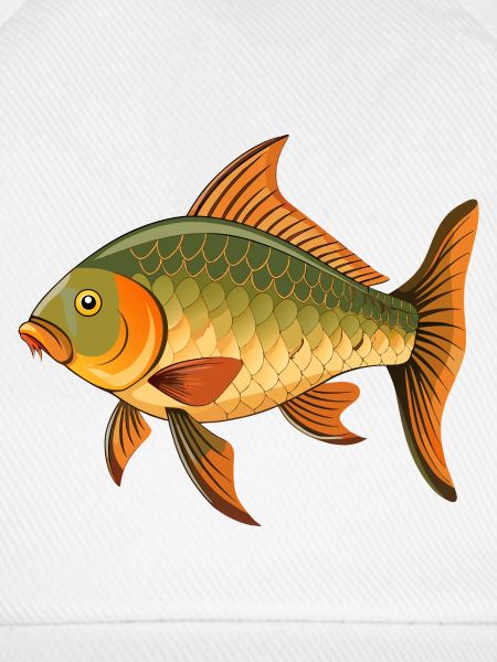 Karpfenfische