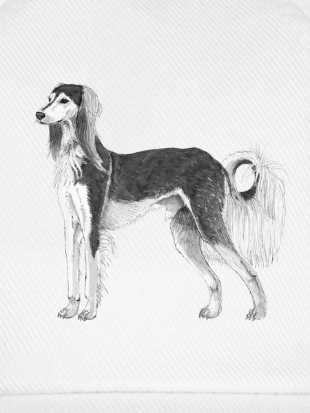 Saluki