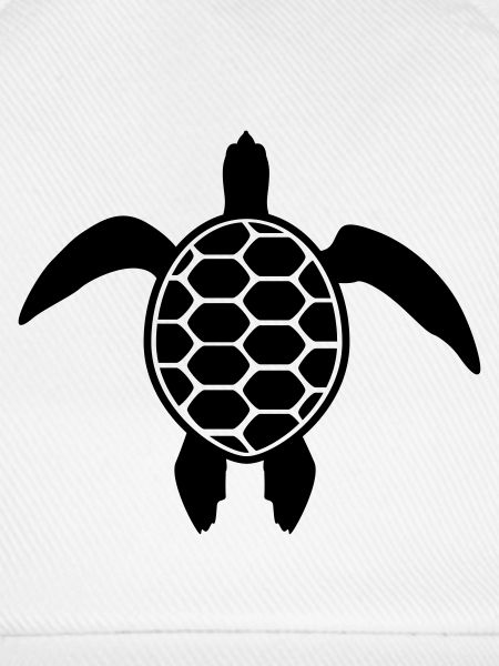 Schildkröte