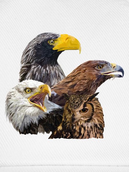 Greifvögel