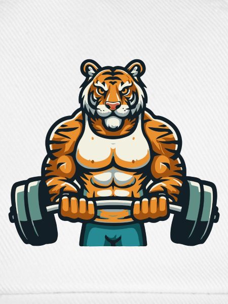 TIGER FITNESSSTUDIO