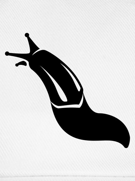 Nacktschnecke