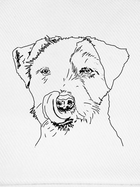 Terrier