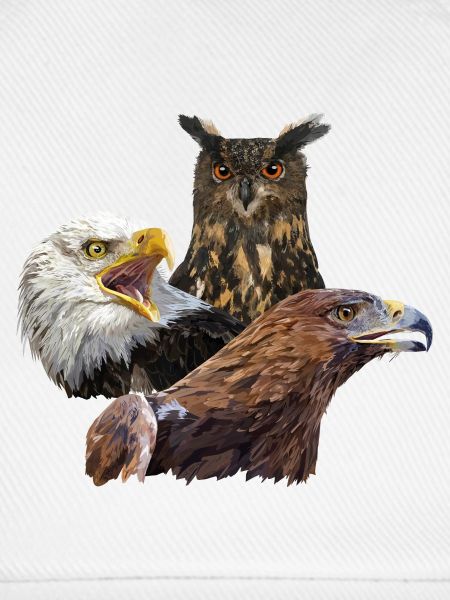 Eule und Adler
