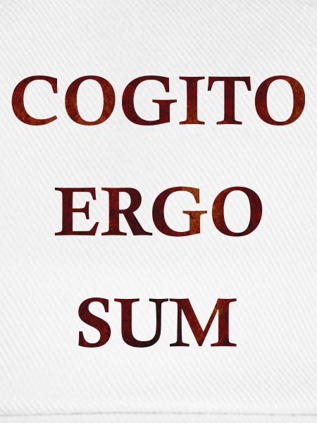 Cogito Ergo Sum