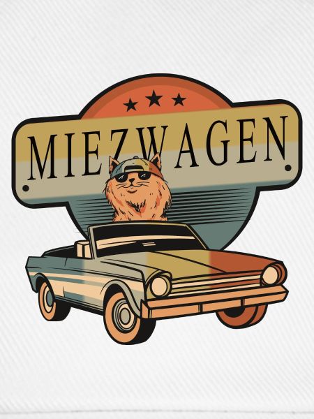 Coole Katzen Auto