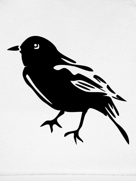 Spatz