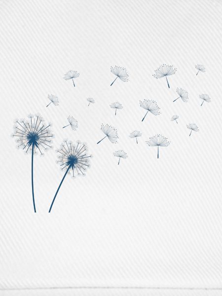Dandelion in blue