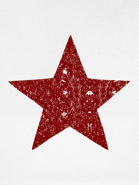 Der sozialistische Stern