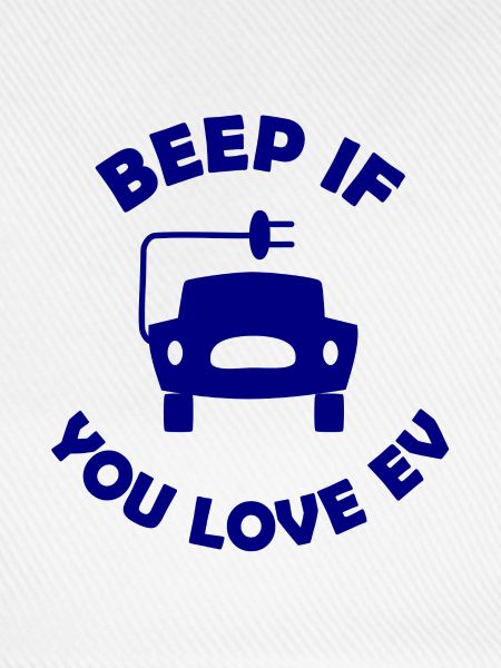 Die E Auto Fans