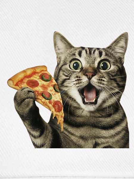 Pizza-Katze
