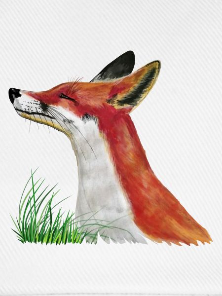 Fuchs schnuppert im Gras