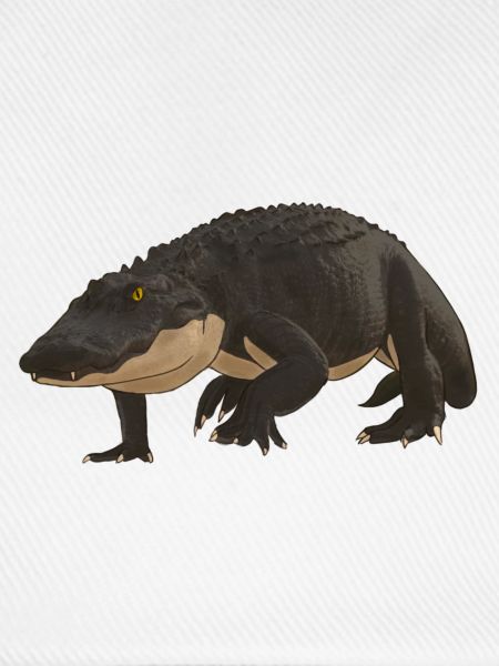 Alligator