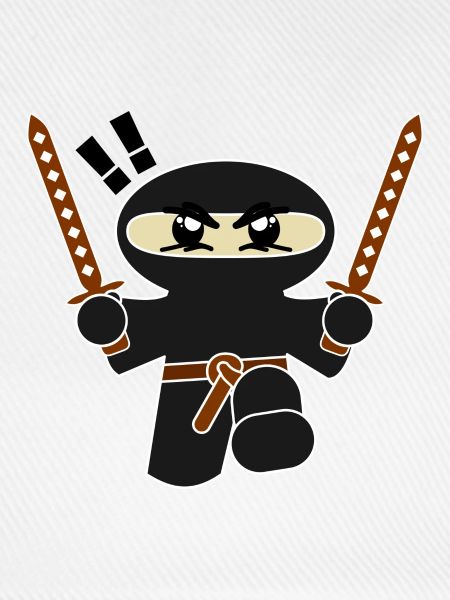 Ninja Ritter