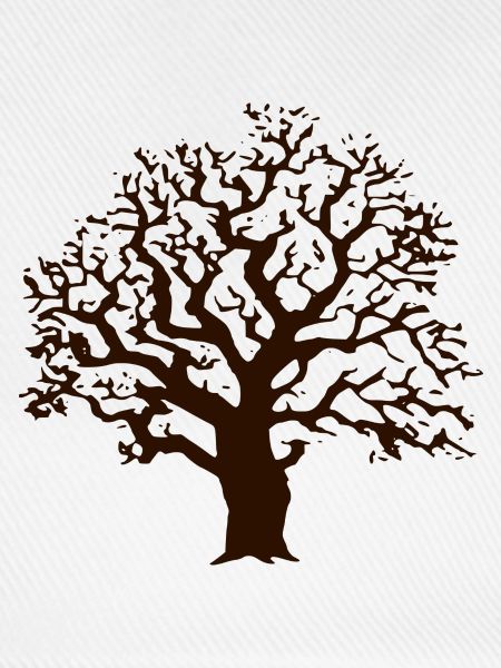 Baum Eiche