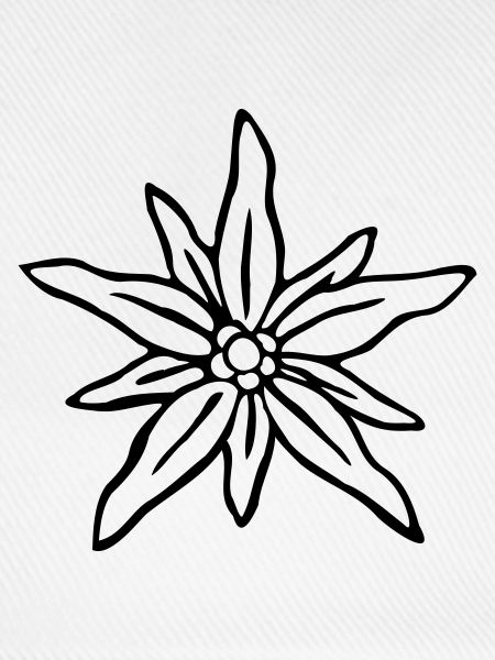 Edelweiß