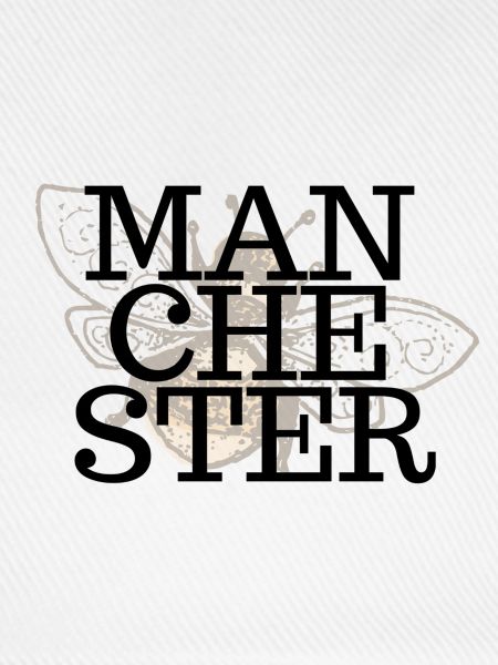 Bee Manchester Overlay