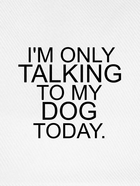 Lustiger Hunde Spruch