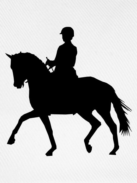 Reiterin mit Pferd