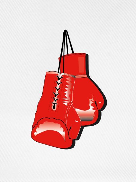 boxhandschuhe