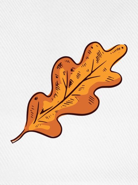 Herbstblatt Herbst Blatt